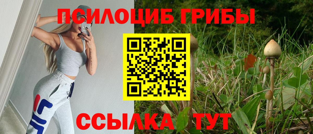 Псилоцибиновые грибы мухоморы  Вход с VPN  наркота  Псилоцибиновые грибы мухоморы  Заинск 
